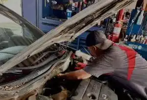 Maintenance